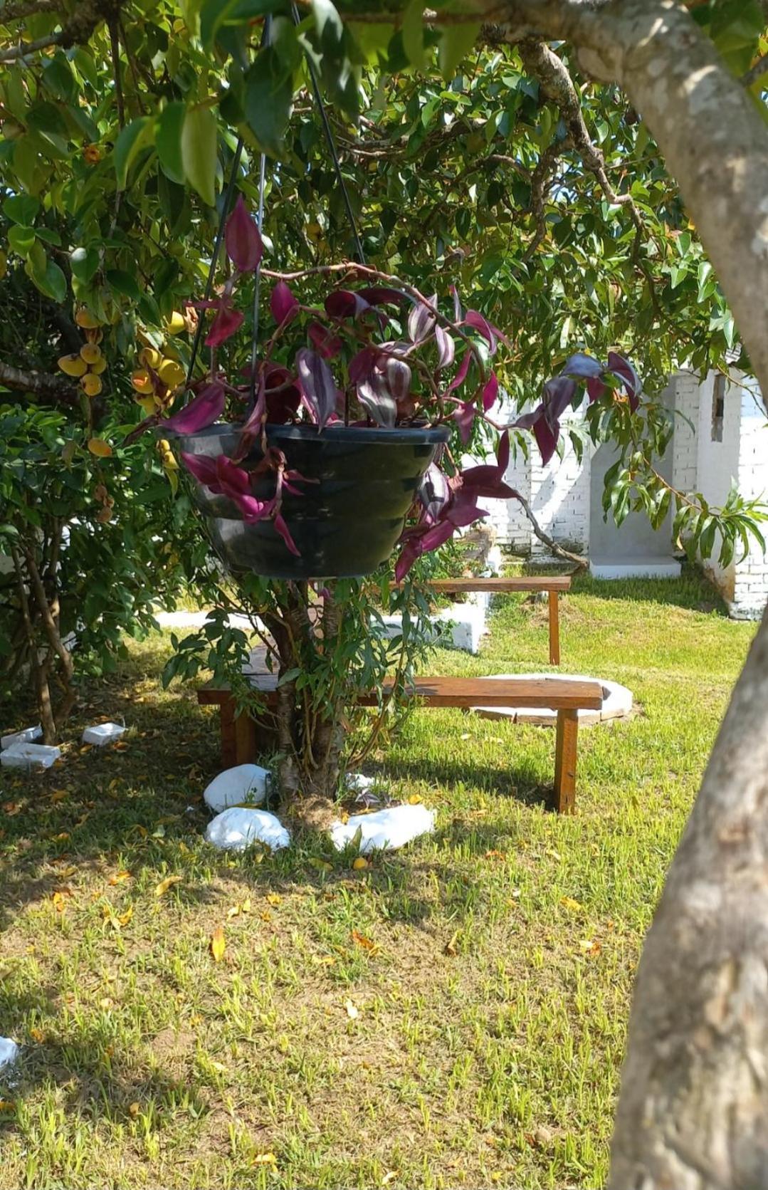Casinha Verde Passa Quatro Esterno foto